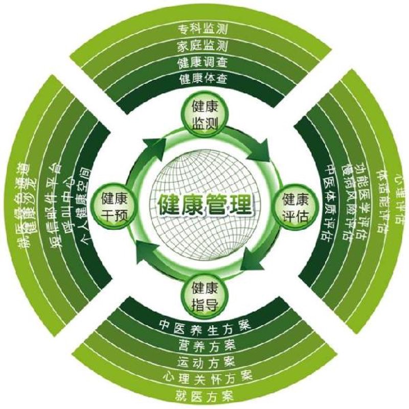 中医养生新趋势:回归自然与健康的智慧选择